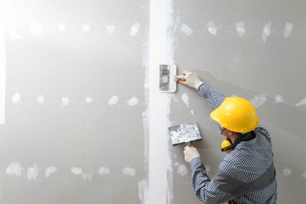 Best Mold Prevention Services  in Beech Grove, IN