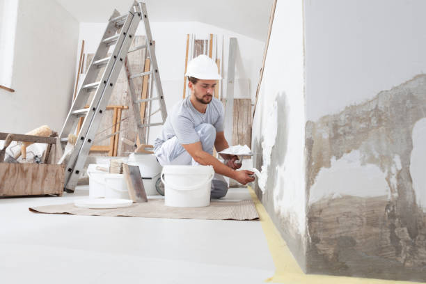 Best Water Damage & Mold Remediation  in Beech Grove, IN