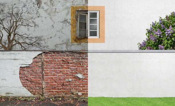 Best Comprehensive Air Testing for Mold Contaminants  in Beech Grove, IN