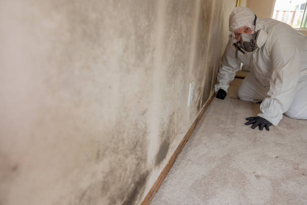 Best Indoor Air Quality Assessment  in Beech Grove, IN