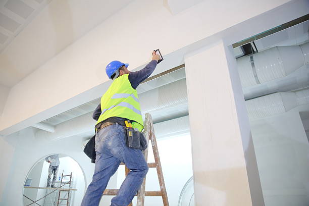 Best Attic Mold Removal  in Beech Grove, IN