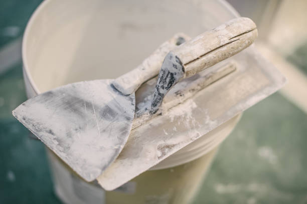 Best Industrial Mold Remediation  in Beech Grove, IN